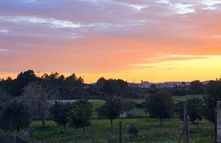 Ses Cases d'Alcudiola - Foto 48