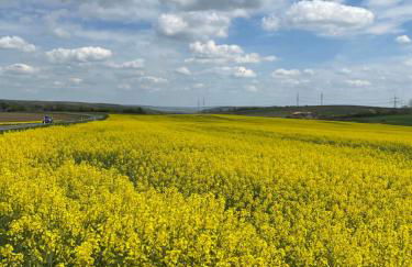Ferienwohnung Inga - Foto 7