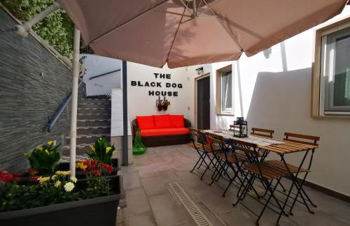 The black dog house - Foto 1