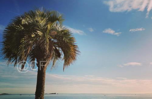 Résidence Golfs de Valescure 9 - Foto 47