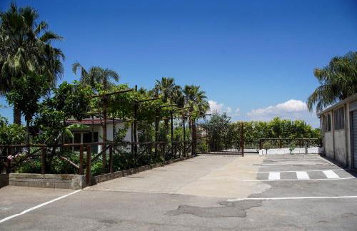 La Sorrentina - Foto 19