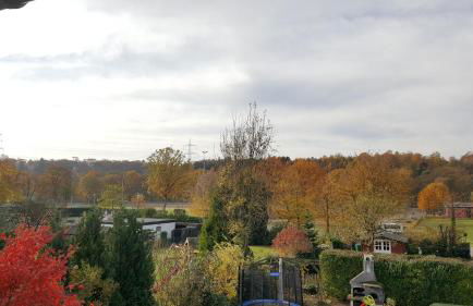 Ferienwohnung Blütenstadt - Foto 33