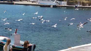 Studios Akrogialli - Foto 4