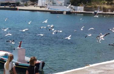 Studios Akrogialli - Foto 4