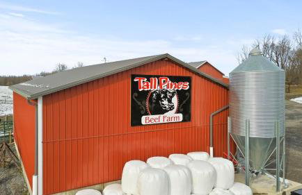 Charming Farmhouse Retreat - Foto 28