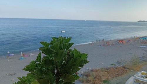 La casa dell'azzurro - Foto 4