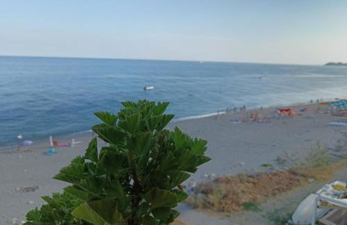 La casa dell'azzurro - Foto 4