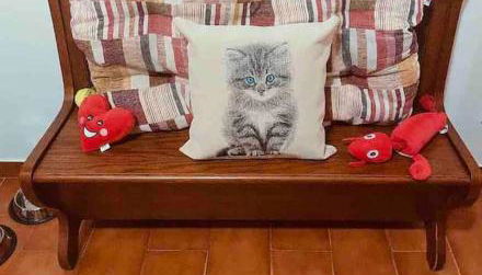 Villetta la Magnolia - Foto 2