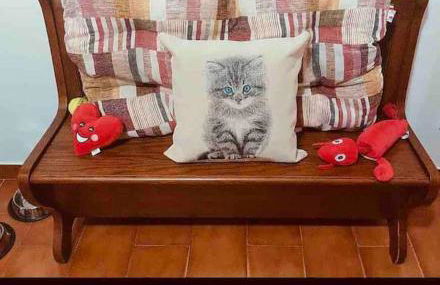 Villetta la Magnolia - Foto 2