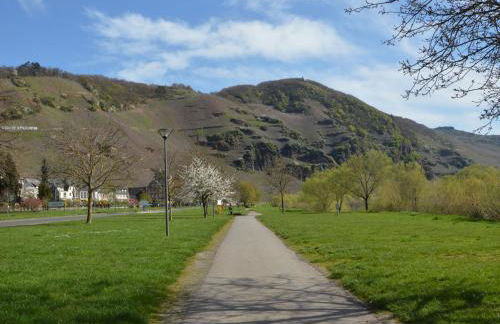 Urzig Heritage Riverside Stay - Foto 36