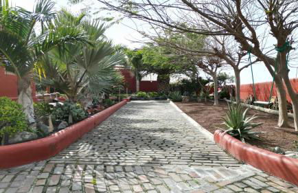 Papaya Cottage Punta del Hidalgo La Azócar - Foto 46