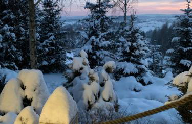 U Wrót Bieszczad - Foto 3