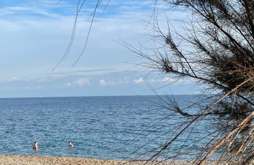 VILLENEUVE LOUBET PLAGE- Entre NICE et CANNES - Foto 65