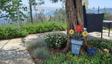 La Maestà di Alice - Foto 3