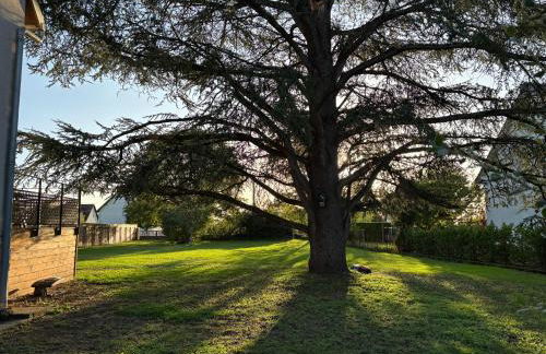 Cedar house - Foto 15