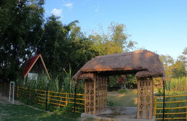 Pobitora Village Eco Camp - Foto 19