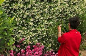 Marì casa vacanza - Foto 25