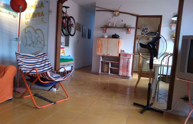 Ferias do Massari - Foto 21