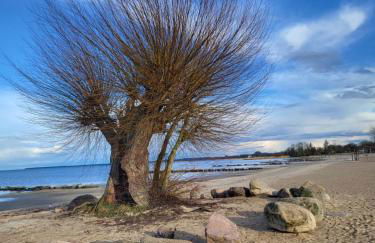 Aufatmen in Ahlbeck - Photo 17