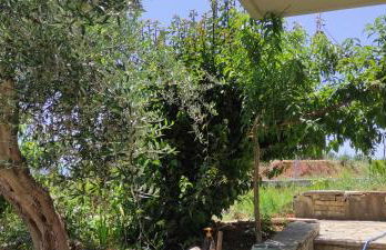 Dimitras 2 Bedroom Apartment - Foto 19