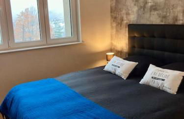 Les Fougères 12 personnes SPA/SAUNA - Foto 16