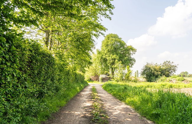 Beautiful Mansion on the Water - Foto 18