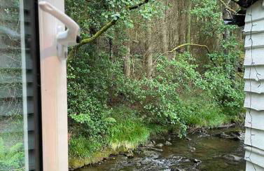 Cuckoo Cabin, Tyn Y Cwm - Photo 14