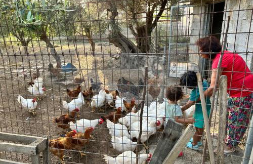 BIO Garden Stonehouse - Foto 34