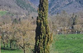 La Cabanya de Can Ganasta - Photo 50