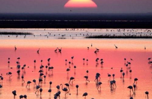 Casa Bonita - Foto 31