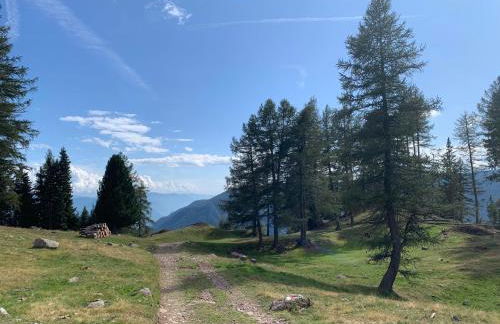 Apartment HaNiLe - Foto 57