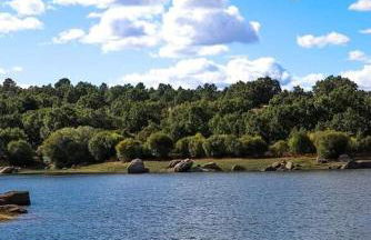 Casas do Torreão 3 casas de alojamento local - Foto 35