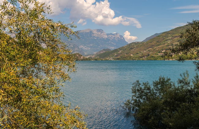 La diMosa - Photo 17