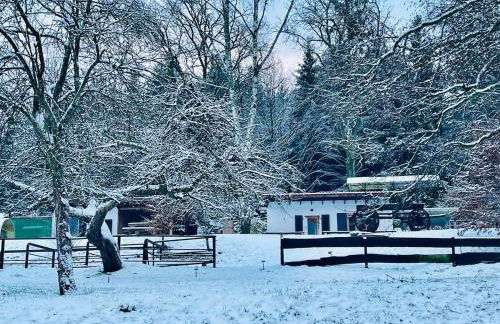 Tiny Ferienhaus 1 am Rimbach in Steinau an der Strasse - Foto 52