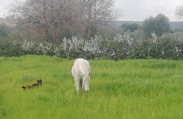 Le Grotte di Sileno - Foto 35