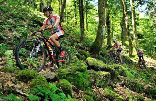 Gîte Au Pradin échappée nature et détente spa - Foto 50