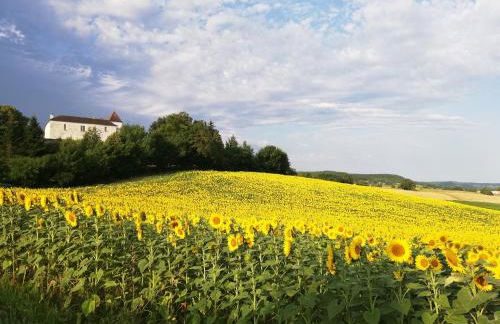 Chateau de Lamothe d'Anthe - Foto 32
