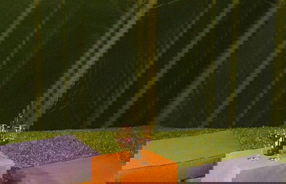 Pouso do Corvo - Grão-Pará - SC - Photo 65