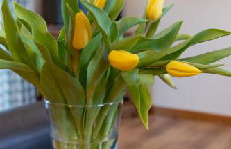 Carnedd Cottage - Foto 28