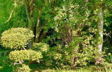 Appartement neuf et au calme proche Avignon - Foto 25