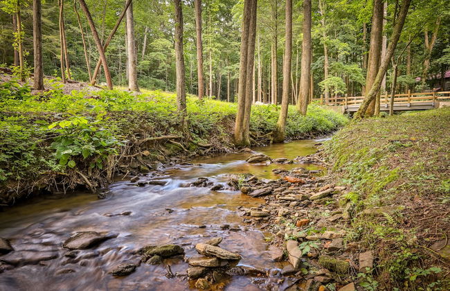 Gingershack Farms - Foto 46