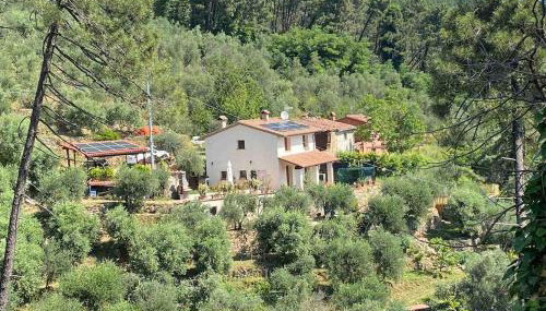 Rivolta home - Photo 4