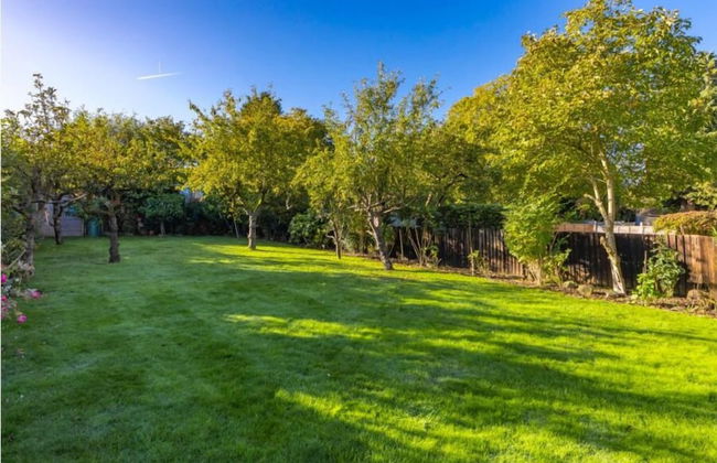 Rose House Garden - Foto 23