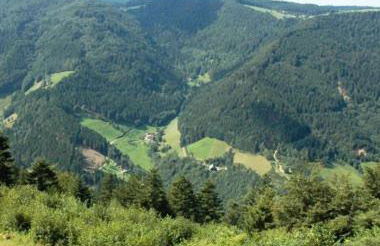 Haldenschwarzhof - Foto 19