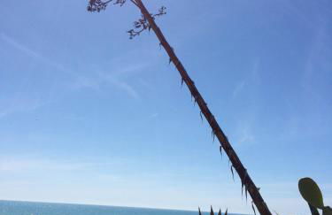 Residence Casa Del Mar Sicilia - Foto 65