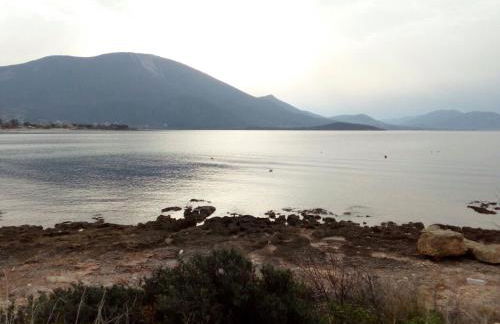 Angel House - Foto 54