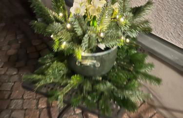 Exklusives Appartement mit Flair - Foto 15