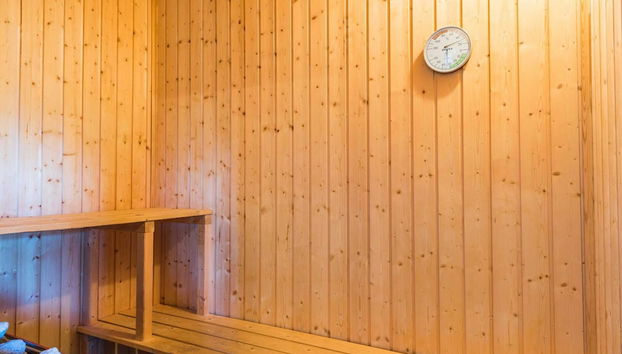 6 Person Holiday Home in Hvide Sande - Foto 5, Sauna