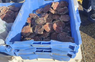 Studio à la mer - Foto 26