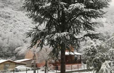 Appartement Tarascon sur Ariège - Foto 20